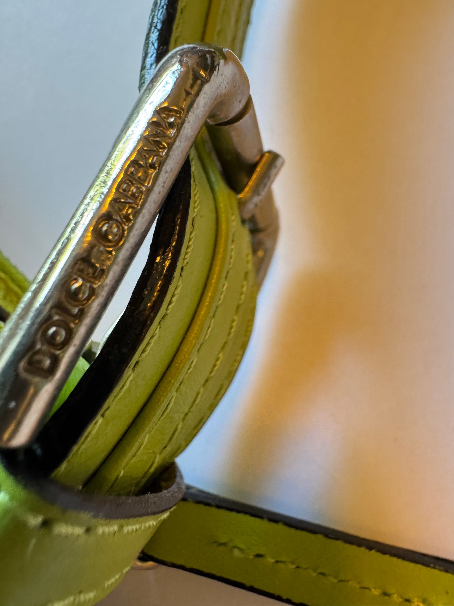 D&G 2000s Green Purse